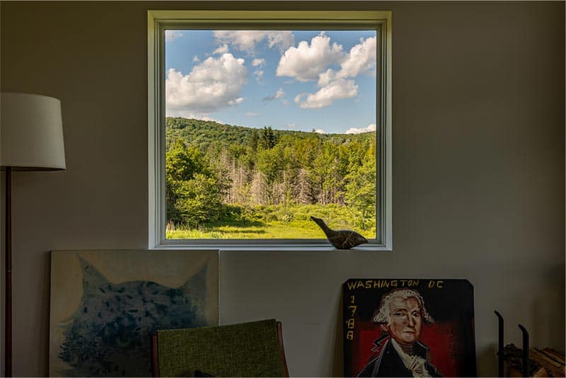 Window with a view